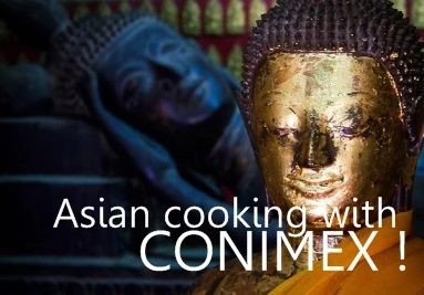 Asian cooking with Conimex - Image Conimex Products