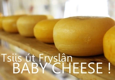 Dutch and Frisian Cheese - Banner Baby Cheese