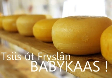 Tsiis ut Fryslan - Babykaas - Afbeelding Kaas